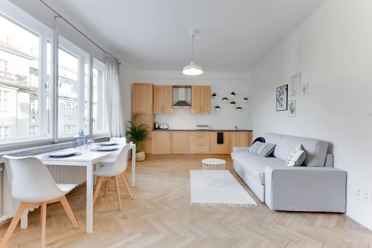 Top Flat 2 Bedrooms In Historical Center - Klimentska Prague 0*,